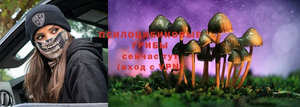прущий лед Нефтекумск
