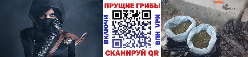 Псилоцибиновые грибы GOLDEN TEACHER  Ялуторовск 