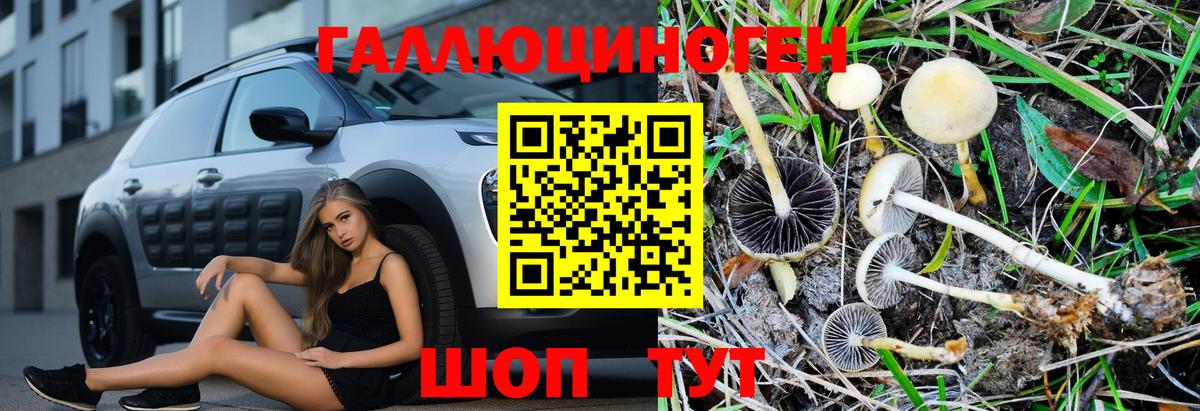 Галлюциногенные грибы MAGIC MUSHROOMS Ялуторовск