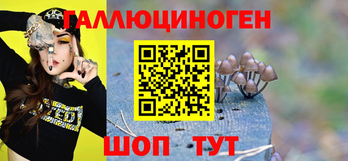 Галлюциногенные грибы GOLDEN TEACHER Ялуторовск